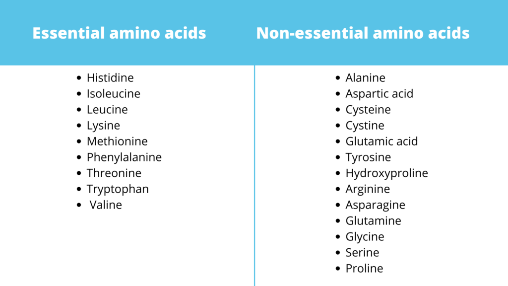 Keto recipes